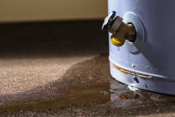 Best 24-hour water damage restoration  in Forest Glen, MD
