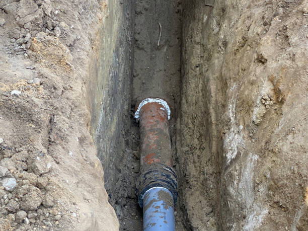 Best Sewage cleanup and water damage restoration  in Forest Glen, MD