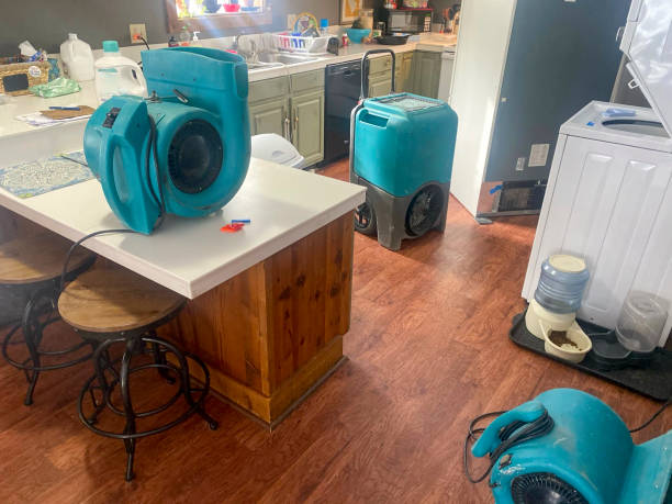 Best Local water damage restoration  in Forest Glen, MD