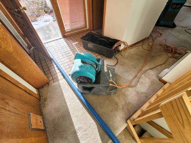 Best Water damage restoration services  in Forest Glen, MD