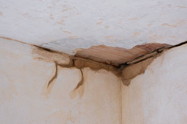 Best Flood restoration services  in Forest Glen, MD