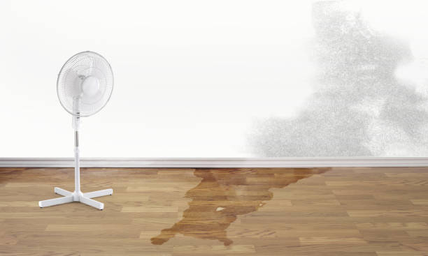Best Flood restoration services  in Forest Glen, MD