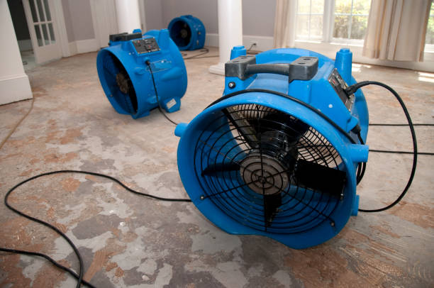  Forest Glen, MD Water damage restoration Pros