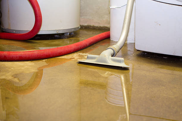 Best 24/7 water damage repair  in Forest Glen, MD