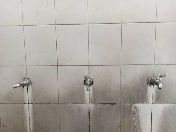 Local water damage restoration in Forest Glen, MD