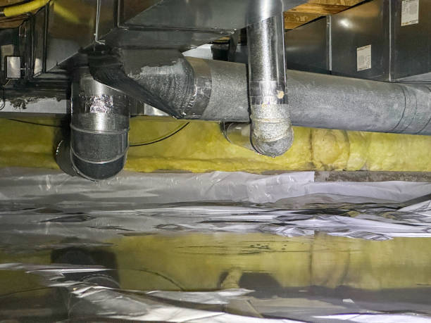 Best Water damage restoration near me  in Forest Glen, MD