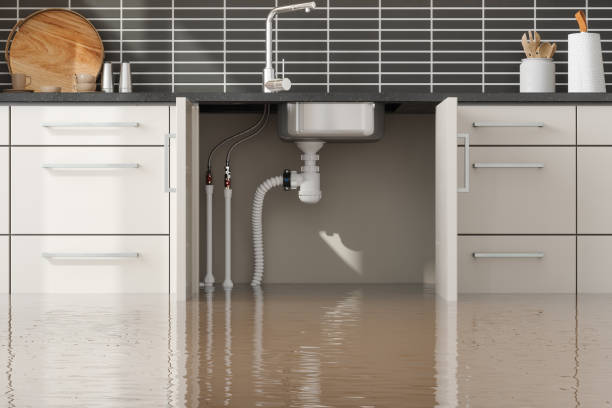 Water damage restoration insurance claims in Forest Glen, MD